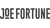 JoeFortune Casino